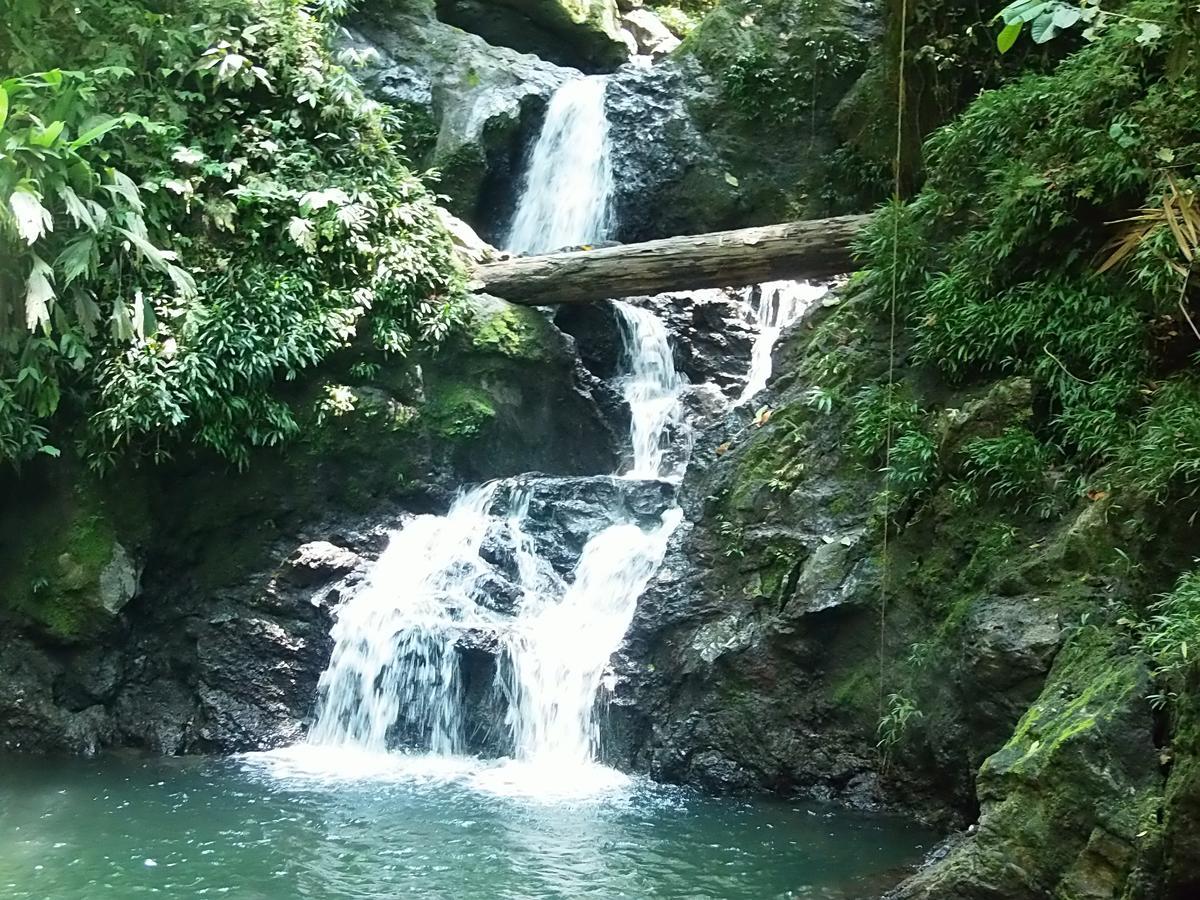 Cabanas Refugio Salomon Nuquí 外观 照片